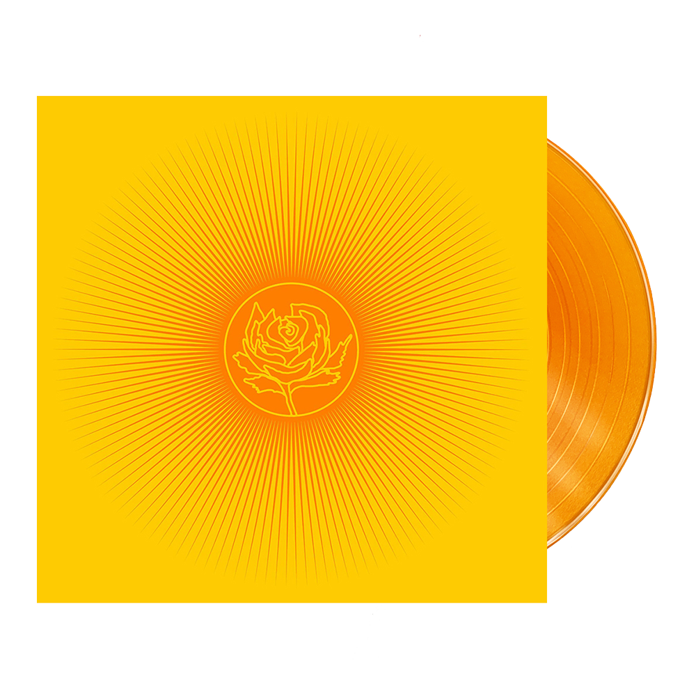 米LP Ryan Adams &amp; The Cardinals Easy Tiger B000876001 Lost Highway /00260 Adams-Ryan-Easy-Tiger-1.jpg?v=