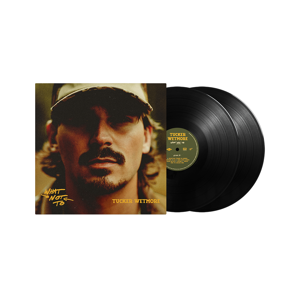 A SUMMER PLACE ア サマー プレイス LP 新品未使用に近い A SUMMER PLACE ア サマー プレイス LP 新品未使用に近い 2025年